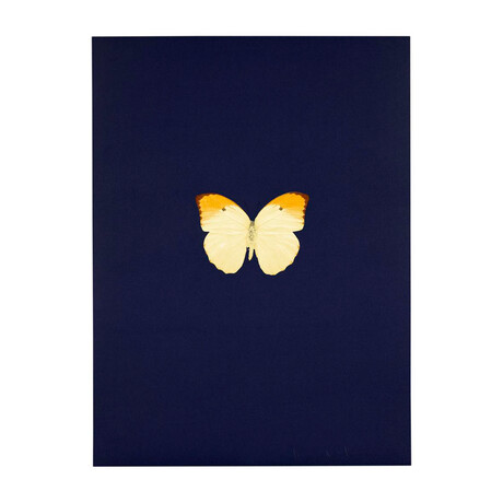 Damien Hirst // New Beginnings 3 // 2011