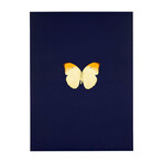 Damien Hirst // New Beginnings 3 // 2011