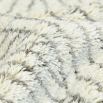 Contemporary // Modern Raisa Area Rug (5' x 8')