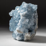 Genuine Blue Celestite Geode