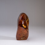 Genuine Polished Carnelian Freeform V1