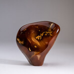 Genuine Polished Carnelian Freeform V1