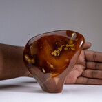 Genuine Polished Carnelian Freeform V1