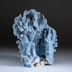 Genuine Blue Ridge Coral