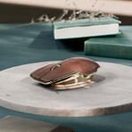 The Pointer Instrument // Classic Brown