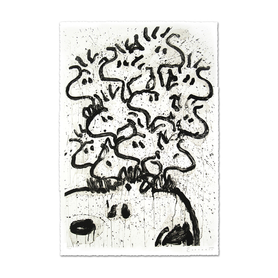 Tom Everhart - Limited Edition Peanuts Lithographs - Touch of Modern