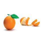 Peel Appeal // Orange Peeler