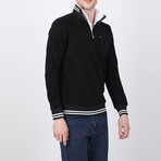 Hayden Striped Ends Half-Zip Sweater // Black (M)