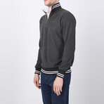 Frances Striped Ends Half-Zip Sweater // Anthracite (2XL)