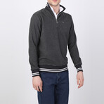 Frances Striped Ends Half-Zip Sweater // Anthracite (L)