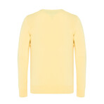 Pat V-Neck Pullover Sweater // Pale Yellow (S)