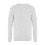 Stephan V-Neck Pullover Sweater // Gray (M)