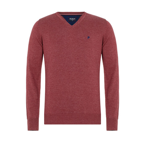 Evan V-Neck Pullover Sweater // Bordeaux (S)