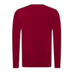 Nathan V-Neck Pullover Sweater // Bordeaux (L)