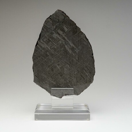 Giant Genuine Natural Muonionalusta Meteorite Slice + Acrylic Stand // 507.2 g