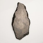 Large Genuine Natural Muonionalusta Meteorite Slice + Acrylic Stand // 584.7 g