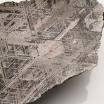 Large Genuine Natural Muonionalusta Meteorite Slice + Acrylic Stand // 584.7 g