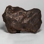 Giant Natural Campo del Cielo Meteorite with Acrylic Display Stand // 9 lb