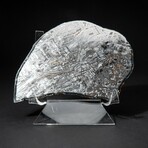 Large Genuine Natural Seymchan Meteorite Slice + Acrylic Display Stand // 205 g