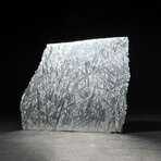 Large Genuine Natural Seymchan Meteorite Slice + Acrylic Display Stand // 371 g