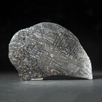 Large Genuine Natural Seymchan Meteorite Slice + Acrylic Display Stand // 205 g