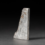 Genuine Natural Seymchan Meteorite Slice + Display Box // 26 g