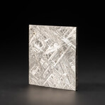 Genuine Natural Seymchan Meteorite Slice + Display Box // 45 g