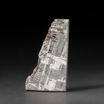 Genuine Natural Seymchan Meteorite Slice + Display Box // 26 g