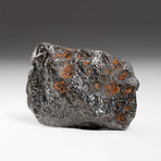 Genuine Natural Canyon Diablo Meteorite + Display Box // 164 g