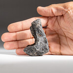 Genuine Natural Campo del Cielo Meteorite // 231 g