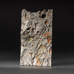 Genuine Natural Seymchan Meteorite Slice + Display Box // 135 g