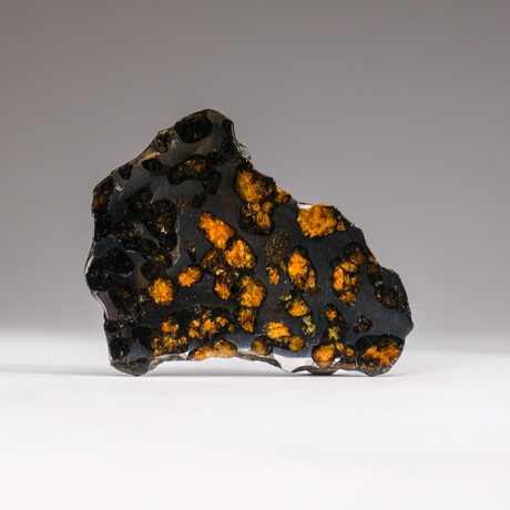 Genuine Natural Seymchan Pallasite Meteorite Slice + Acrylic Display Stand // 46.3 g