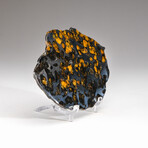 Genuine Natural Seymchan Pallasite Meteorite Slice + Acrylic Display Stand // 100 g