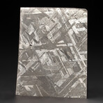 Genuine Natural Seymchan Meteorite Slice + Display Box // 44 g