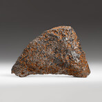 Genuine Natural Canyon Diablo Meteorite + Display Box // 170 g
