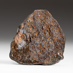 Genuine Natural Canyon Diablo Meteorite + Display Box // 75 g