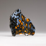 Genuine Natural Seymchan Pallasite Meteorite Slice + Acrylic Display Stand // 46.3 g