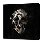 Spring Skull (12"H x 12"W x 0.75"D)