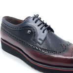 Tom Classic Shoes // Bordeaux + Navy (Euro: 44)