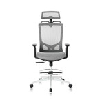 Nouhaus Ergonomic Office Chair // ErgoDraft // Gray