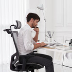 Nouhaus Ergonomic Office Chair // ErgoDraft (Gloss Gray)