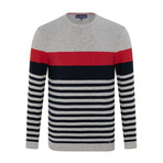 Jeremy Striped Sweater // Gray + Navy (2XL)