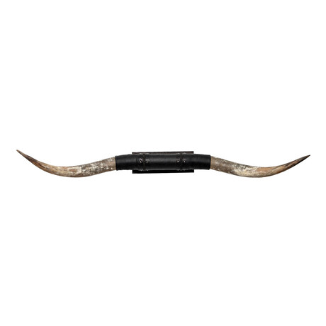 Black Leather Mount // Standard Longhorns // Big Gun