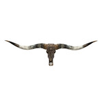 Carved Longhorn Skull // XL Horns // Antique Bronze Mandala // Metallic Finish V.2