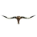Longhorn Skull // XL Horns // Antique Bronze Storm // Metallic Finish V.1