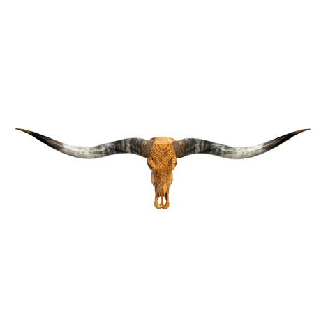Carved Longhorn Skull // XL Horns // Antique Boho