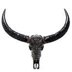 Carved Buffalo Skull // Black From Hell