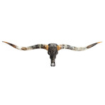 Carved Longhorn Skull // XL Horns // Gray Boho