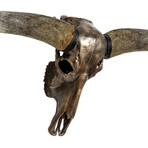 Longhorn Skull // XL Horns // Antique Bronze Storm // Metallic Finish V.2