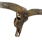 Carved Longhorn Skull // XL Horns // Antique Bronze Mandala // Metallic Finish V.1